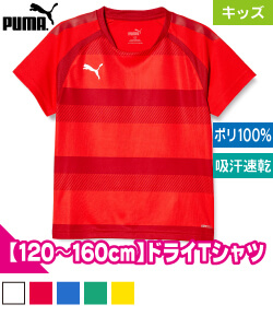 TEAM VISION フープゲームTシャツ ジュニア