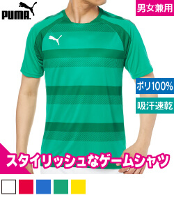 TEAM VISION フープゲームTシャツ