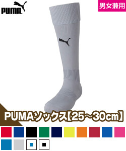 LIGAストッキング
