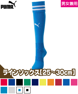 ライン入りストッキング
