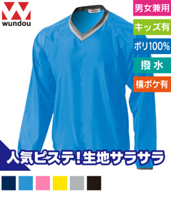 ベーシックピステ