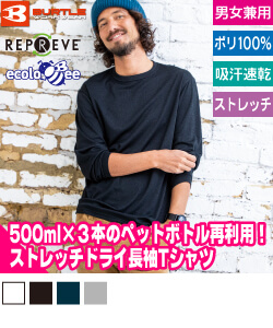 エコロジカルロングTシャツ