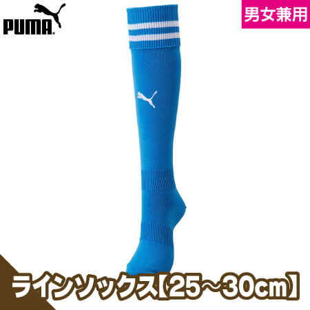ライン入りストッキングのトップ画像