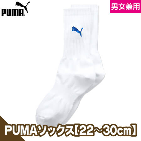 ショートストッキングのトップ画像