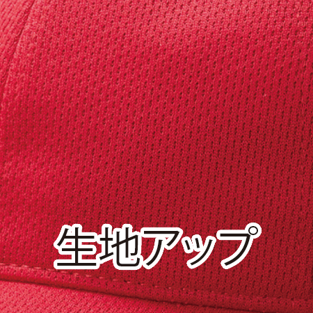 ファンクションキャップ(後ろ:Dカンタイプ)の補足画像