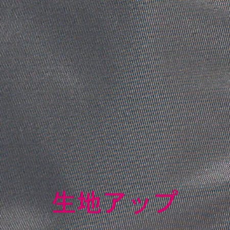 Lee軽量リュックサックの補足画像