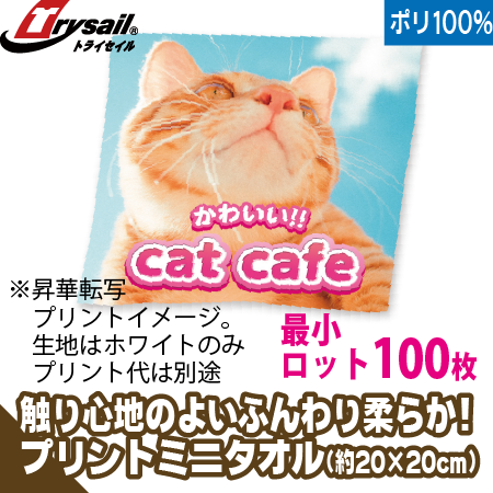 プリッコタオル/ミニハンカチのトップ画像