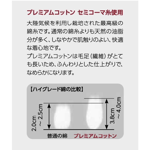 プレミアムTシャツの補足画像