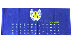towel00017